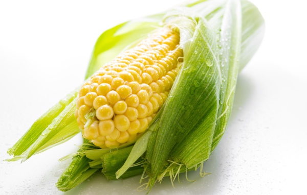 Початок кукурузы в каплях воды на белом фоне