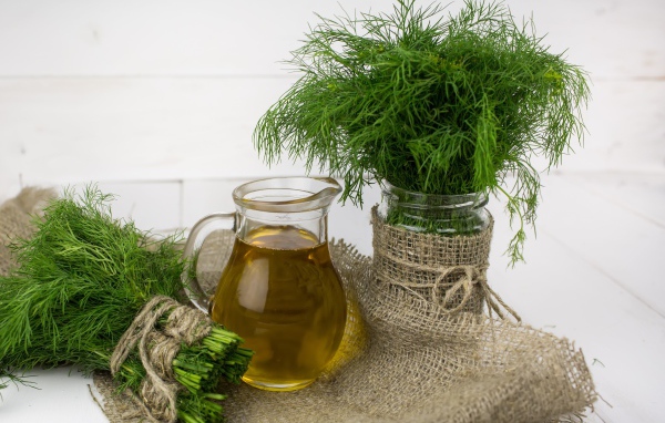 Свежий укроп на столе с оливковым маслом 
