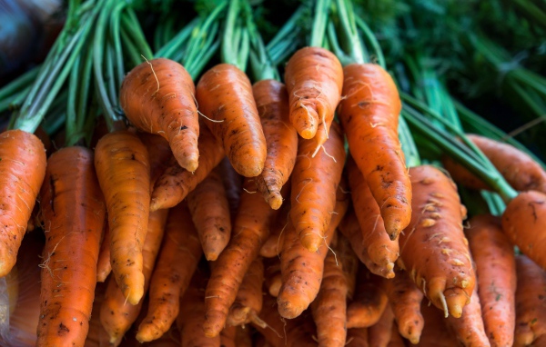 Много оранжевой моркови крупным планом 