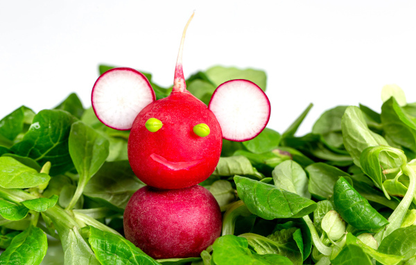 Зверь из красного редиса на листьях базилика 
