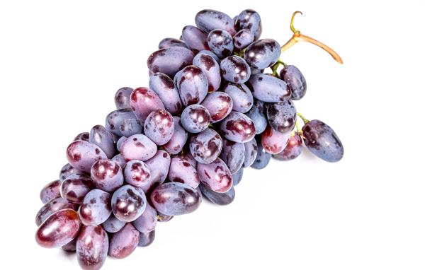 Гроздь синего винограда на белом фоне крупным планом