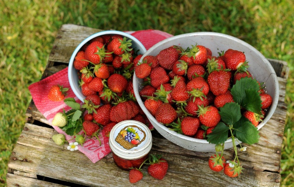 Много спелой ароматной клубники на столе с джемом 