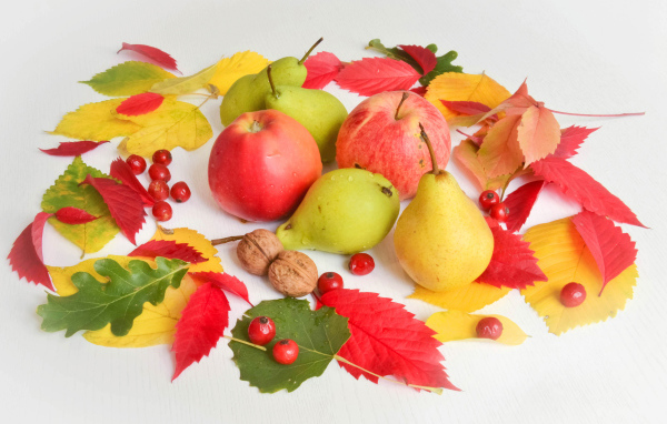 Яблоки и груши с опавшими листьями на белом фоне