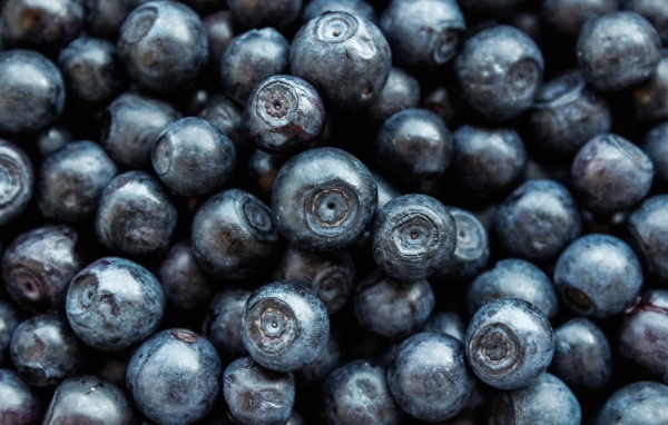 Ягоды черники крупным планом 