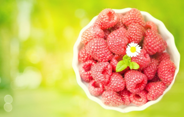 Миска спелой малины с белой ромашкой