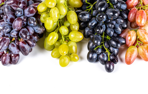 Грозди разноцветного винограда на белом фоне
