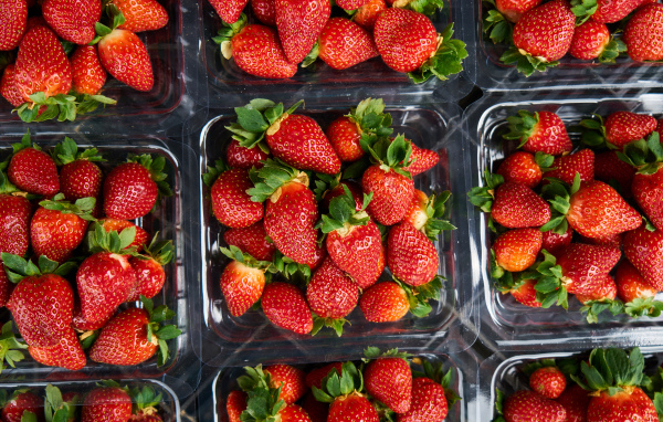Много контейнеров со спелой сочной красной клубникой 
