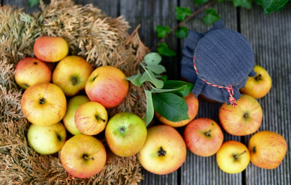 Много спелых яблок на столе с вареньем 