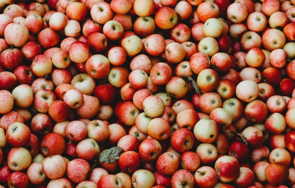 Много спелых красных яблок крупным планом 