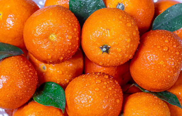 Мандарины в каплях воды крупным планом