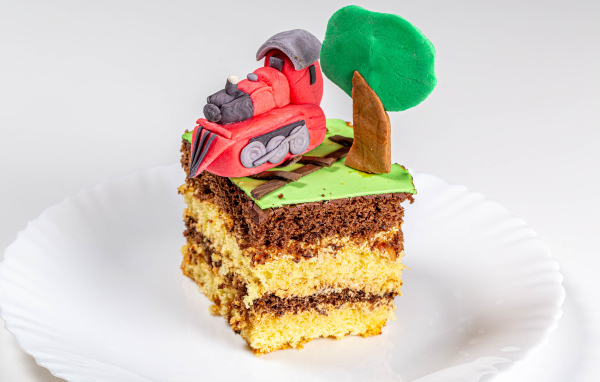 Кусок торта на белой тарелке с декором 