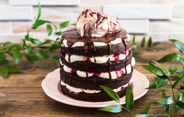 Вкусный шоколадный торт с кремом на столе 