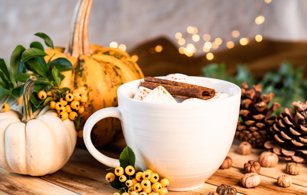 Чашка горячего маршмеллоу с корицей на столе с тыквой и шишками
