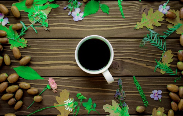 Чашка кофе на столе с желудями