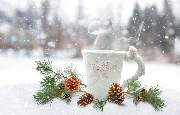 Чашка горячего кофе на снегу с сосновой веткой 