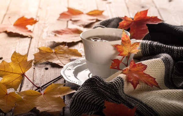 Чашка чая на столе с осенними листьями и пледом