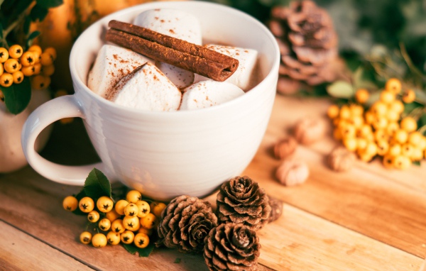 Маршмеллоу в чашке с корицей на столе с шишками и гроздьями рябины