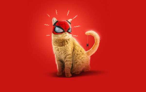 Рыжий кот в маске спайдермена на красном фоне