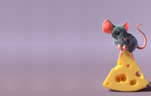 Little gray mouse on a piece of cheese