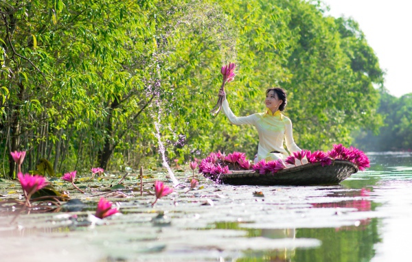 Красивая девушка азиатка на лодке рвет цветы лотоса в реке