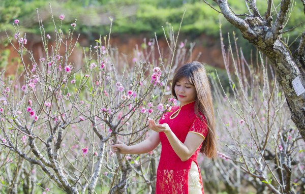 Красивая азиатка в красном наряде у дерева сакуры