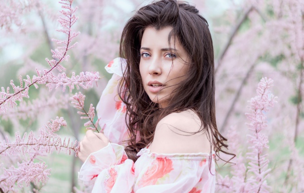 Красивая голубоглазая девушка в розовых зарослях 