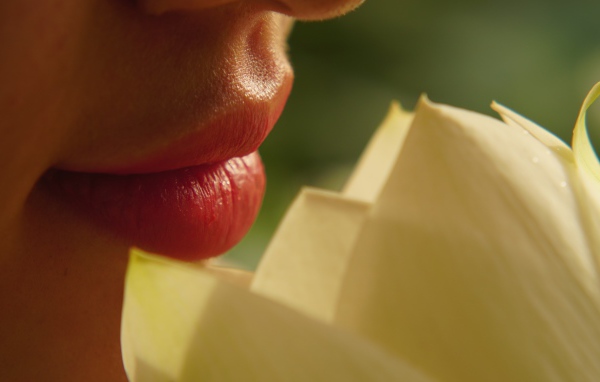 Красивые губы девушки с цветком