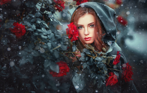 Девушка в черном плаще у  куста роз 