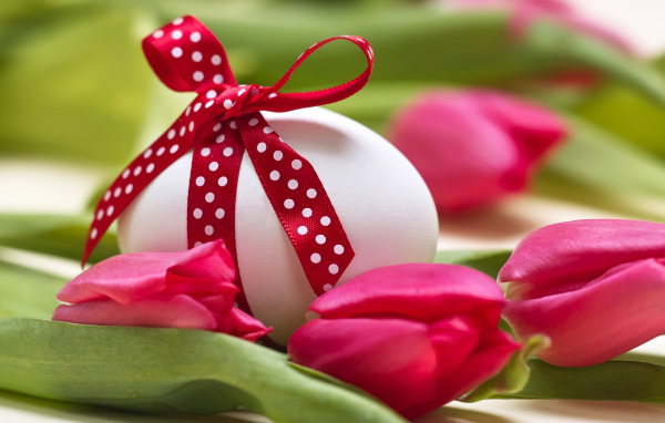 Яйцо с бантом на столе с тюльпанами на праздник Пасха