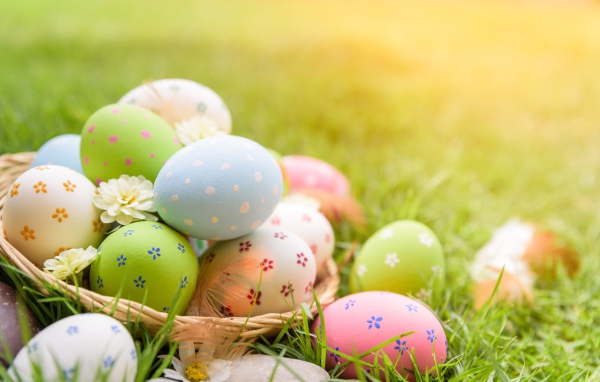 Multi-colored Easter eggs in a basket on green grass.