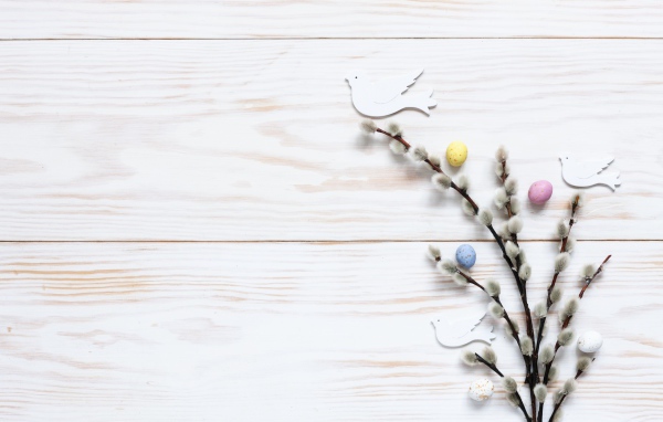 Ветка вербы на столе шаблон для открытки на Пасху 