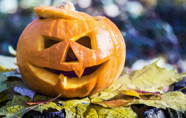 Тыква на Хэллоуин стоит на листке