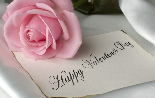 Розовая роза и открытка на День Святого Валентина 