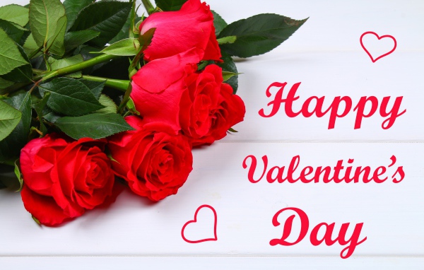Открытка с красными розами на День влюбленных 14 февраля