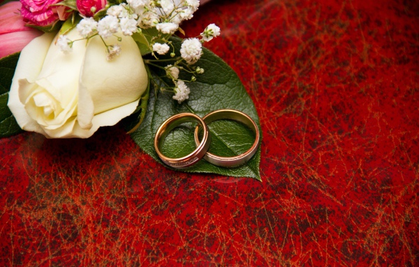 Золотые обручальные кольца на красном фоне