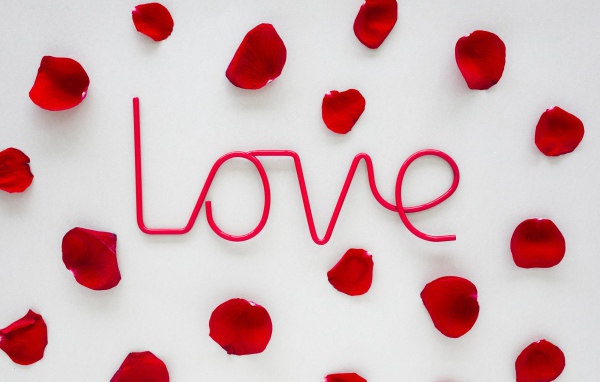 Розовая надпись Love на сером фоне с лепестками розы 