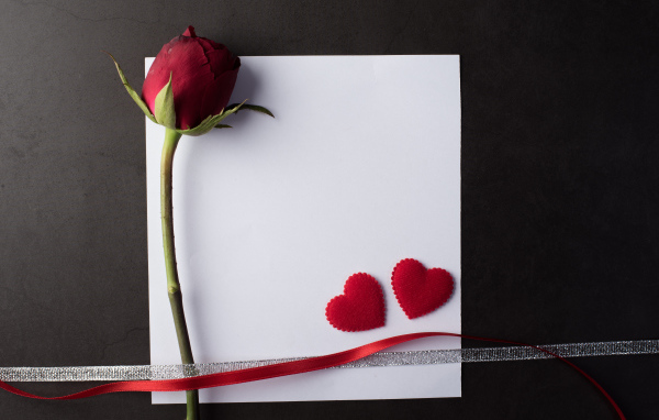 Белый лист бумаги, роза и ленточки на сером фоне