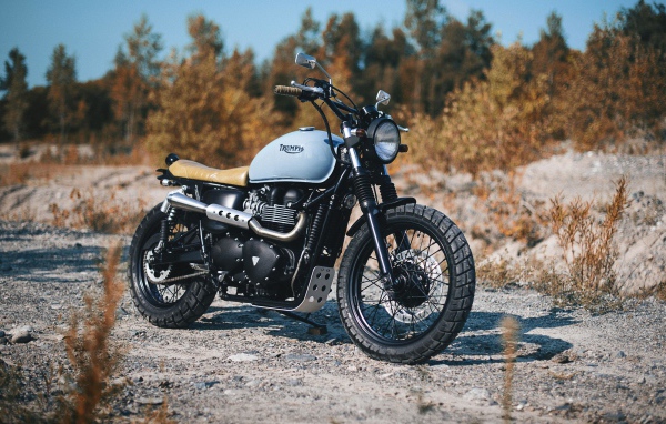 Triumph Bonneville motorcycle on the road in the forest