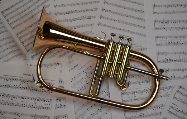 Музыкальный инструмент труба лежит на нотах 