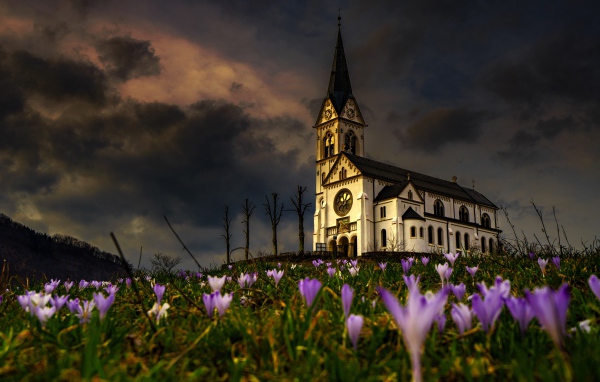 Старая часовня стоит на холме с цветами 