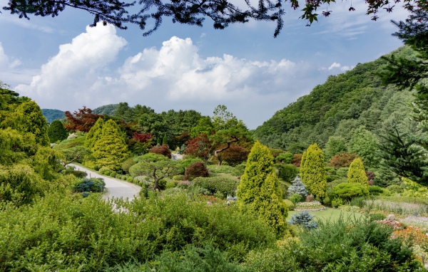 Красивый зеленый парк под голубым небом, Корея