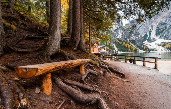 Лавка у деревьев в  парке у озера в горах 