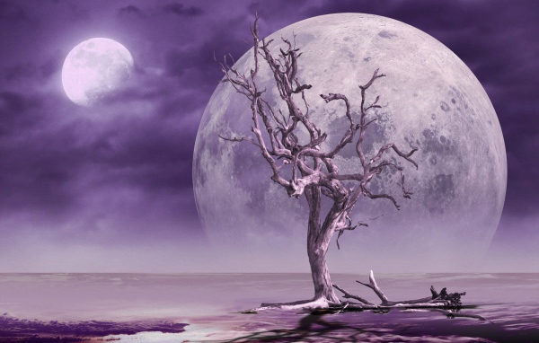 Большая луна в небе у сухого дерева