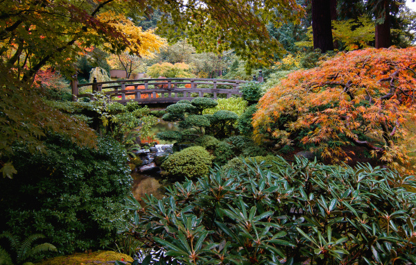 Мост через маленькую реку в заросшем парке 