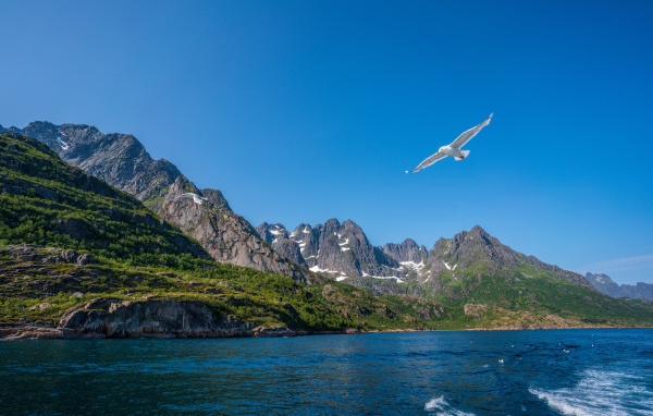 Живописные Лофотенские острова под голубым небом