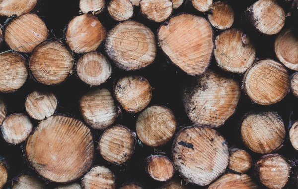 Заготовка дров к суровой зиме