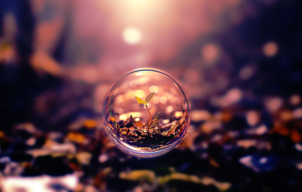 Росток пробивается в стеклянном шаре 