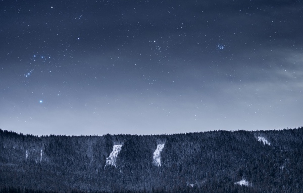 Вид на ночное небо со звездами над лесом
