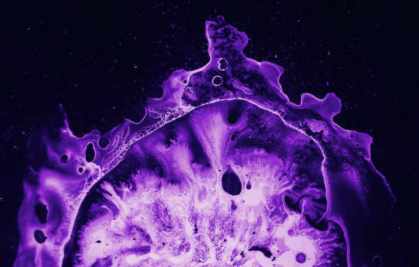 Фиолетовый коралл под микроскопом 