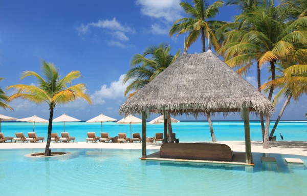 Шезлонги и пальмы на тропическом пляже у океана с голубой водой